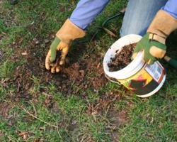 Lawn Renewal and Renovation Tips to Create a Perfect Lawn this Season